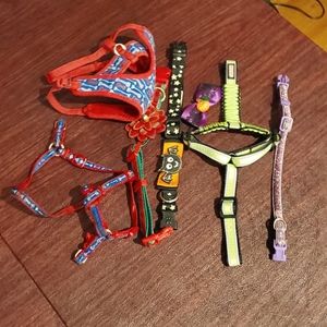 Pet collars & harnesses